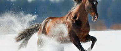 Inview February 2023